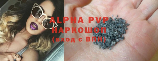 гашик Богданович