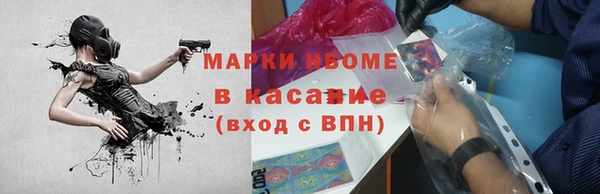твердый Богородск