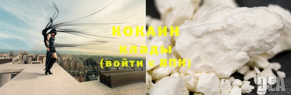 гашик Богданович