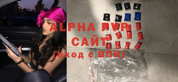 гашик Богданович